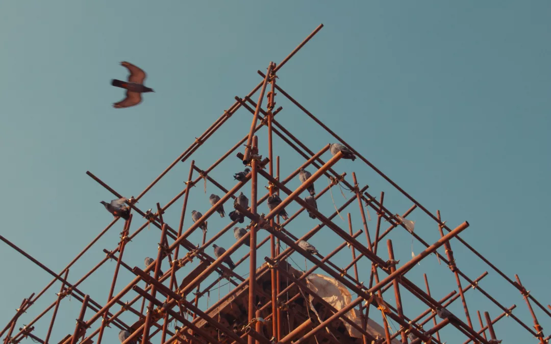 In Defense of Scaffolding